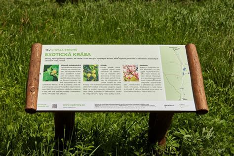 Infografika o správnom načasovaní rezu rôznych druhov stromov