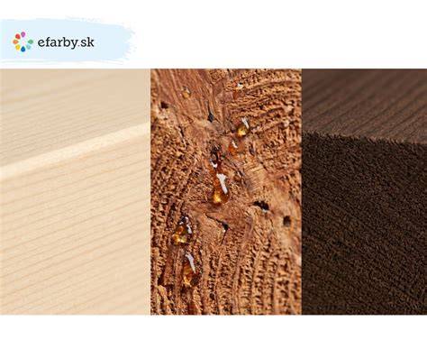 Faktory ohrozujúce drevo v exteriéri