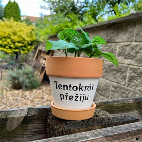 kreslenie vzoru ceruzkou na keramický kvetináč