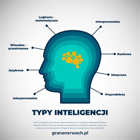 Infografika: Typy náradia dostupné u regionálnych predajcov