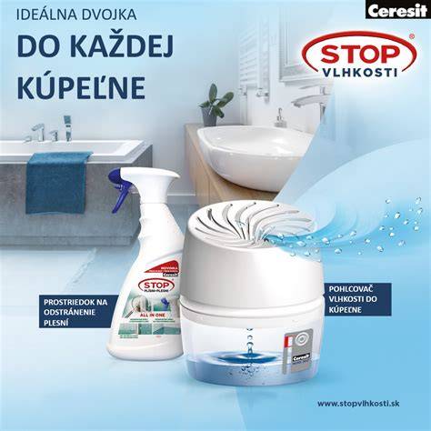 Ilustrácia vlhkosti v kúpeľni v pivnici s plesňou