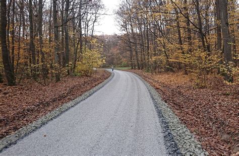 Fotografia poškodenej lesnej cesty pred rekonštrukciou
