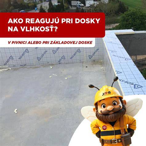 Vlhkosť a pleseň v pivnici