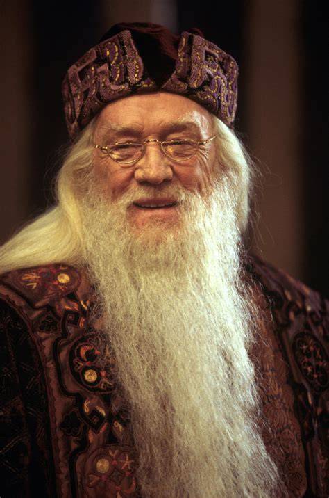Albus Dumbledore a Harry Potter hľadajú horcruxy