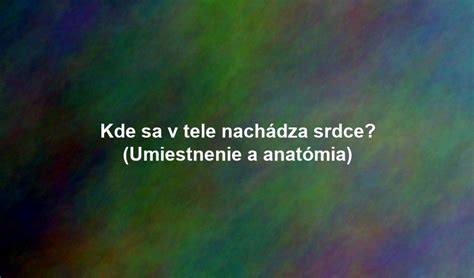anatómia žlčníka a jeho umiestnenie v tele