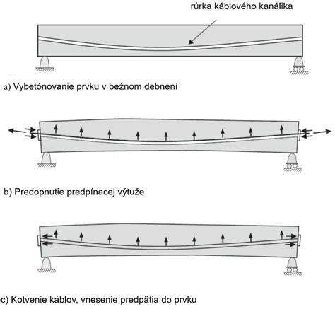 Typy dreva a ich využitie v stropných konštrukciách