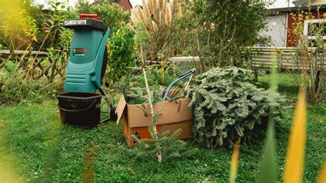 správna recyklácia vianočného stromčeka