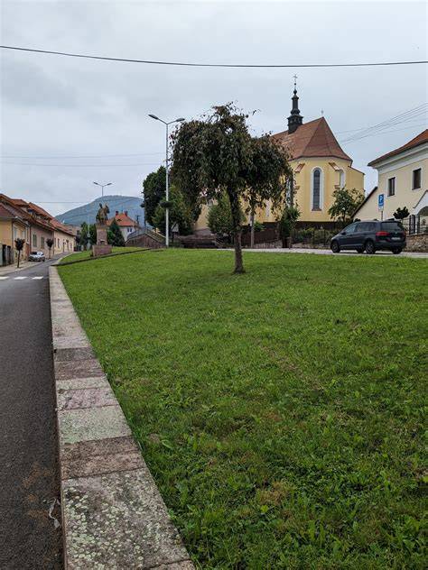 Nerádioaktívne značenie sond (napr. biotínom)