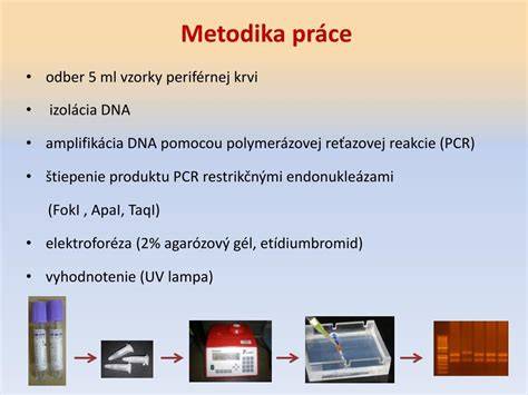 Princíp Polymerázovej reťazovej reakcie (PCR)