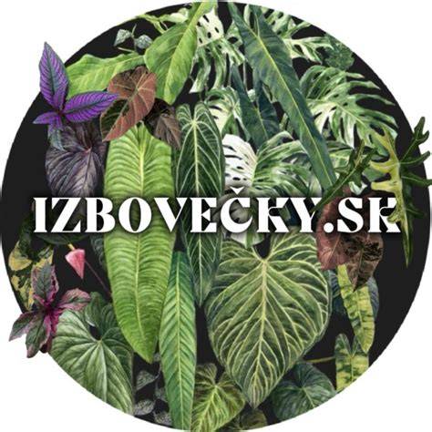 Vzorky stavebných pigmentov v rôznych farbách