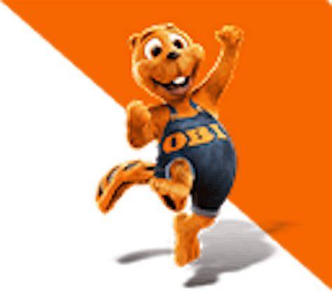 Doručovacie služby OBI pre online objednávky