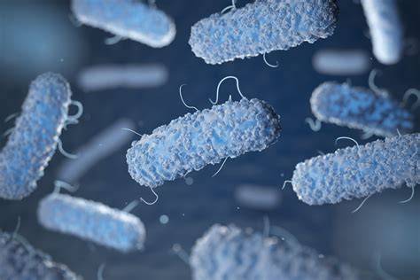 Schéma množenia baktérií Legionella v potrubí v závislosti od teploty vody