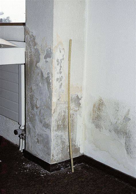 Vlhkosť v murive a jej prejavy: mapy, výkvety soli, odlupujúca sa farba