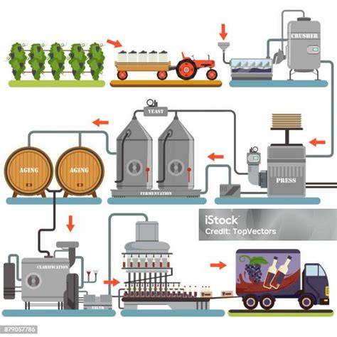 Proces výroby hroznového koncentrátu