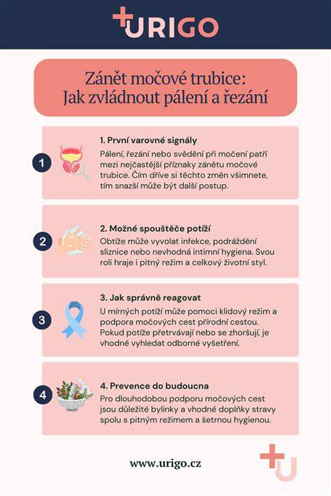 Typy zápalu močovej trubice