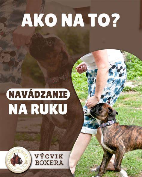 Ukážky rôznych foriem rohovcov