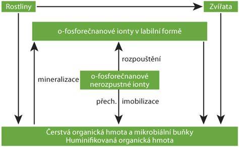 Schéma zostavenia a utesnenia formy