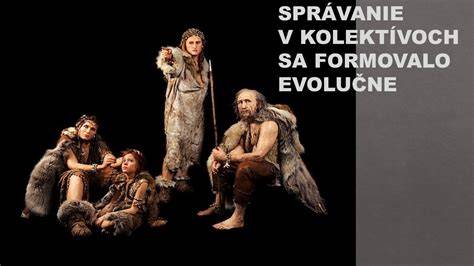 Princíp splyňovania dreva v kotli