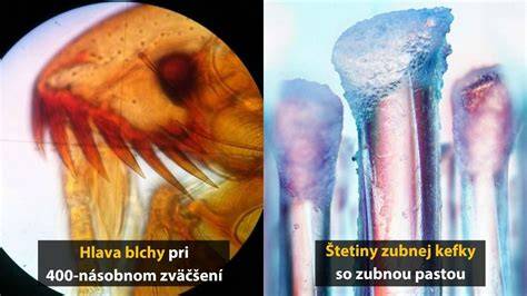 Detail rôznych zrnitostí brúsnych kameňov pod mikroskopom