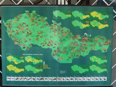 Mapa rozšírenia značky JIKA