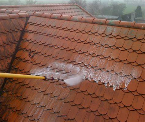 Detailný záber na mach rastúci na betónovej škridle
