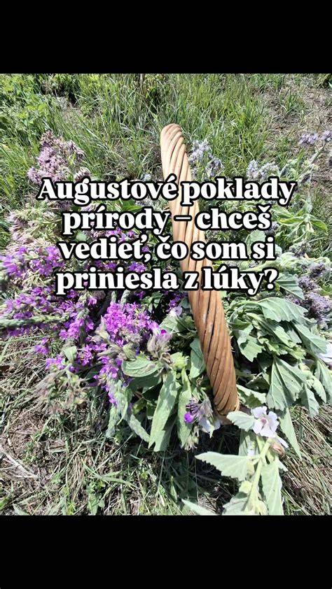 Použitie rýľa štycharu pri kopaní drenážneho kanála