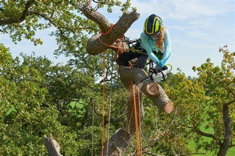 Lezecká výbava Husqvarna pre arboristov