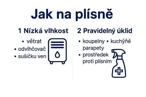 Príčiny vzniku plesní v domácnosti
