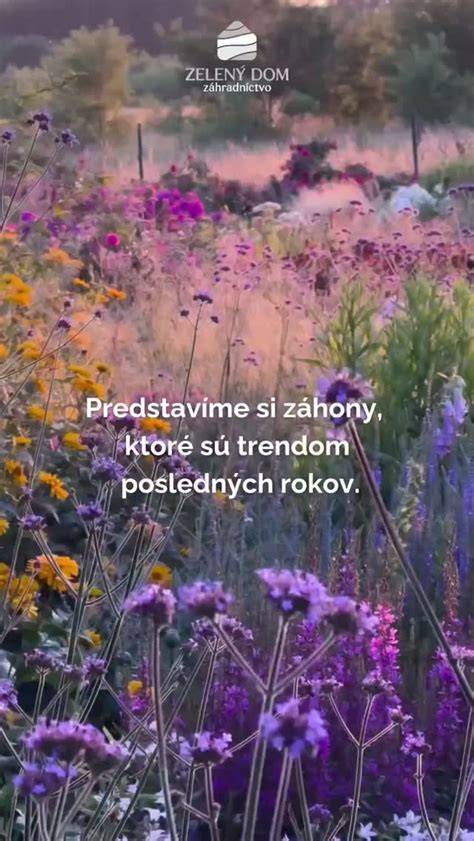 Ukážky štrkových záhonov v rôznych štýloch