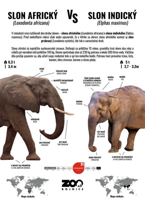 Infografika: Rozdiel medzi jednoplášťovou, dvojplášťovou a teplovodnou krbovou vložkou