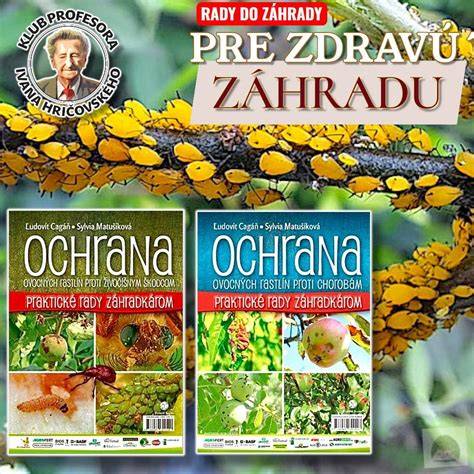 grafika so základnými cvikmi pre zdravú klenbu