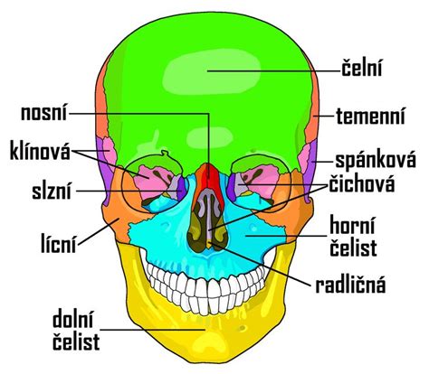 Detail kladkového luku s popisom hlavných komponentov