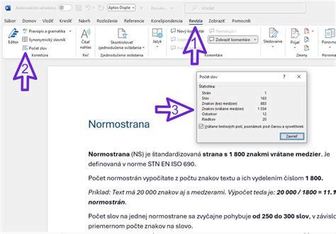 Schéma normostrany s vyznačenými okrajmi a počtom znakov
