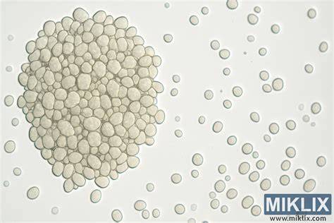 Mikroskopický pohľad na kryštalické nanomateriály