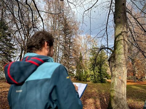 Posúdenie stavu krovu expertom