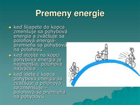 Základný princíp premeny biomasy na energiu