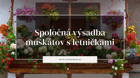 Dekorácia okna v orientálnej kúpeľni s rastlinami
