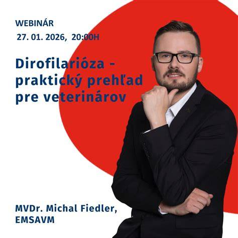 Prehľad potrebných osvedčení pre murára