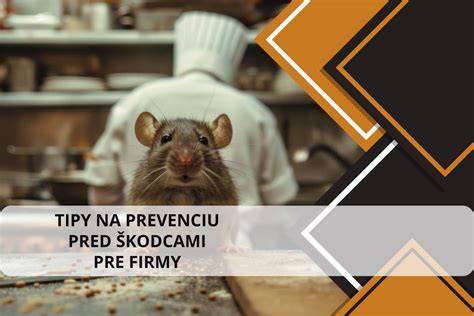 Tipy pre prevenciu a údržbu domáceho odpadového systému