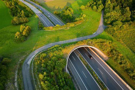 Zelená infraštruktúra a ekodukty pozdĺž D4R7