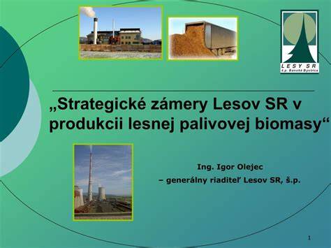 Rôzne formy palivovej biomasy