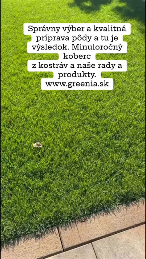 Schéma: Príprava svahu pred spevnením a vrstvenie pôdy