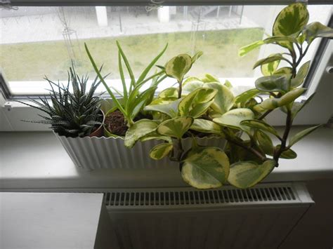 Použitie koncových tehál pre okenné ostenia a parapety