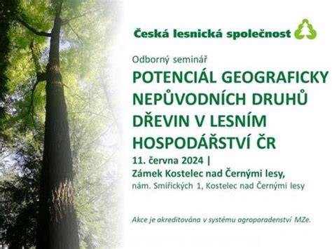 Vzorky rôznych drevín a ich odtieňov