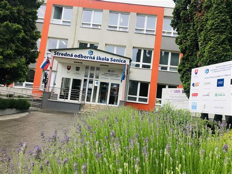 Rôzne aplikácie bezodrazových kladív v remeslách