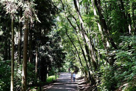 Fotografia Korza Horský park s utlmenou dopravou