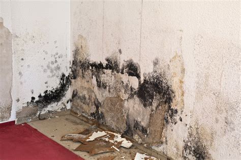 Porovnanie gramáže PVC plachiet