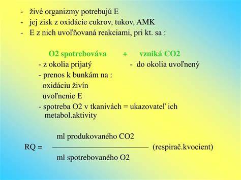 Faktory ovplyvňujúce efektivitu solárneho systému