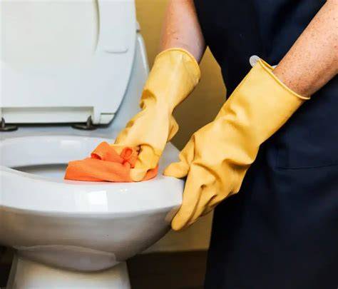Čistenie vodného kameňa v nádrži WC