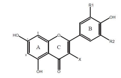 Molekulárna štruktúra flavonoidov